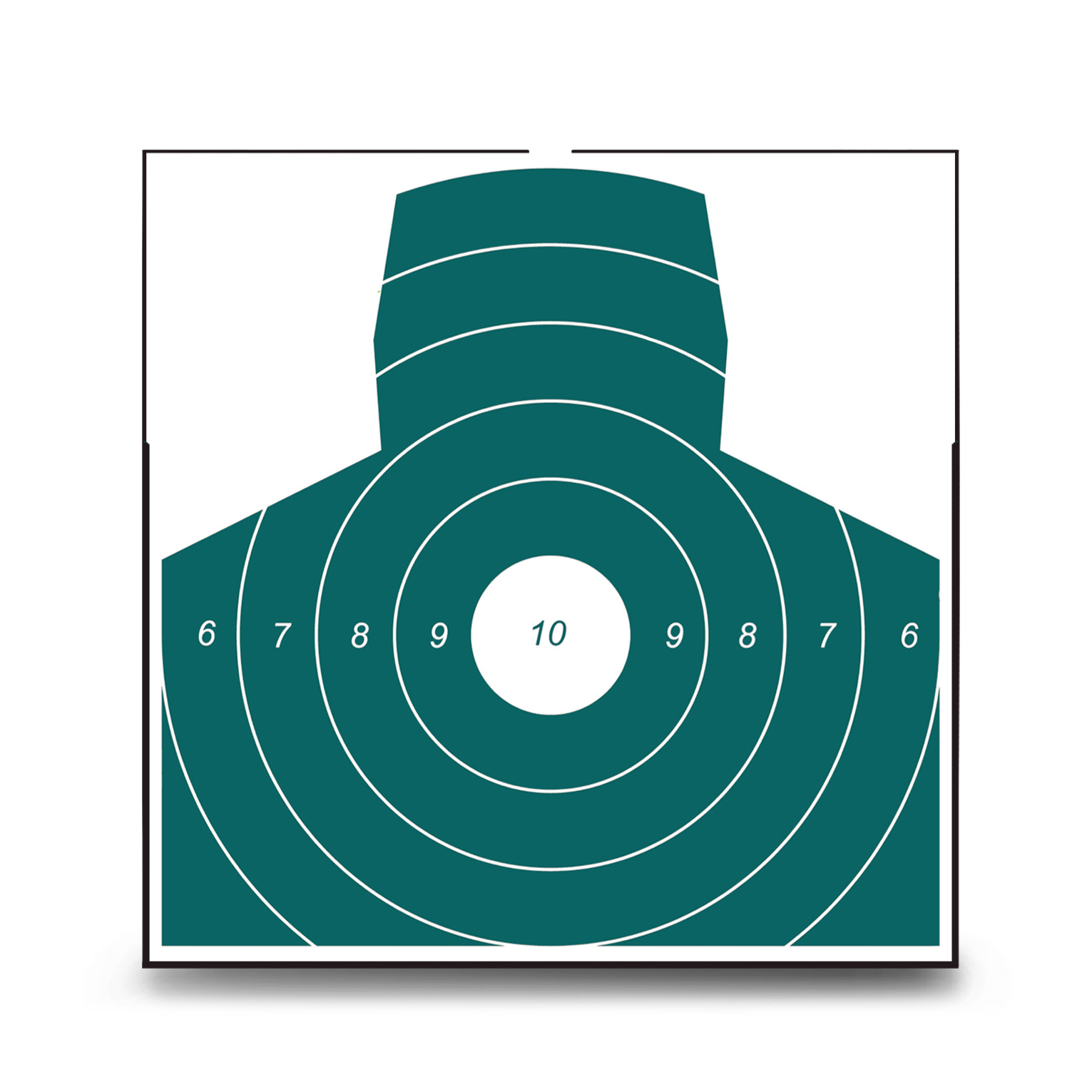 Laser Precision Shooting Training System